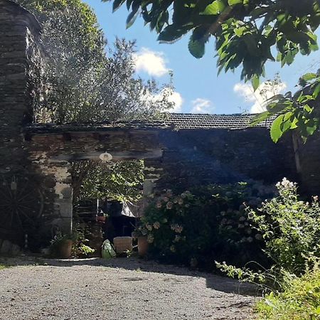 Le Petit Nid Bed & Breakfast Sablieres Exterior foto