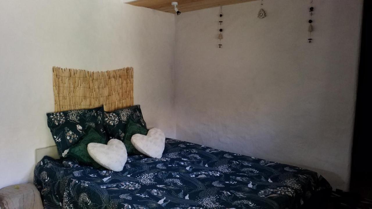 Le Petit Nid Bed & Breakfast Sablieres Exterior foto
