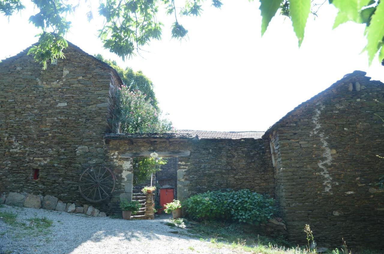 Le Petit Nid Bed & Breakfast Sablieres Exterior foto
