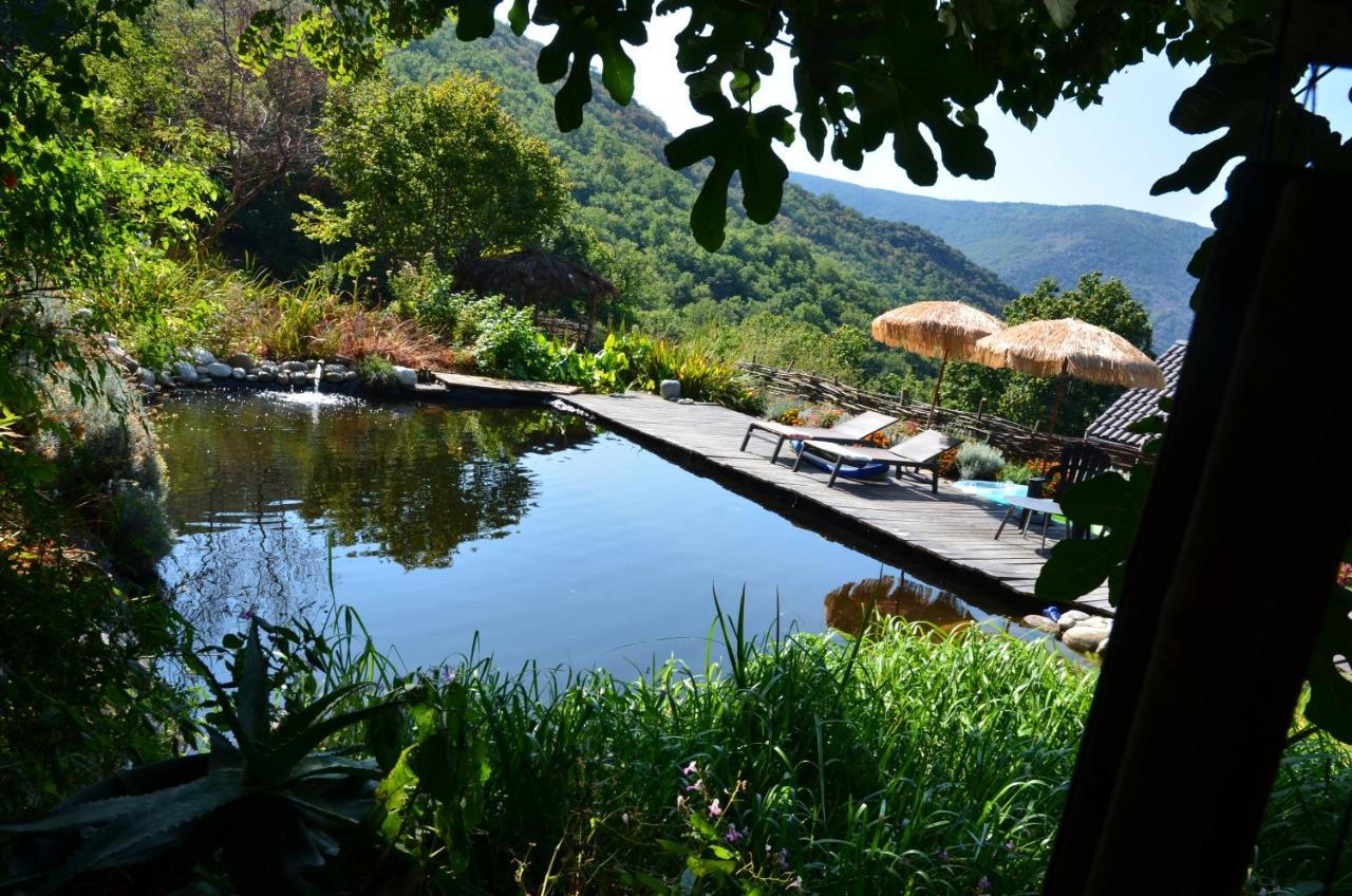 Le Petit Nid Bed & Breakfast Sablieres Exterior foto